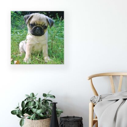 Animals and Living (10521CV) - Image 3