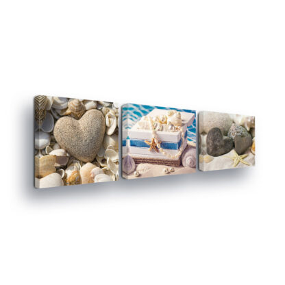 Beach and Coastal (10528CV)