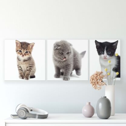 Animals and Living (10531CV) - Image 2
