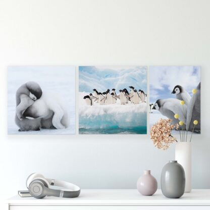 Animals and Living (10536CV) - Image 2
