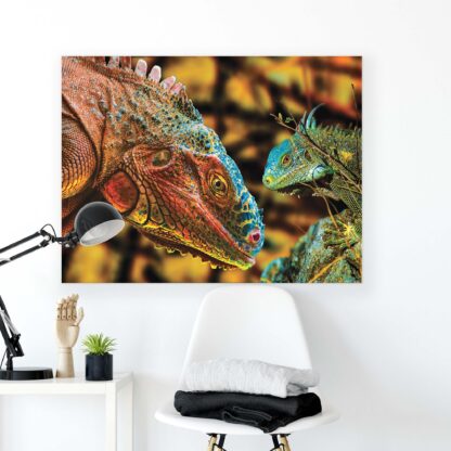 Animals and Living (10568CV) - Image 2