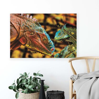 Animals and Living (10568CV) - Image 3