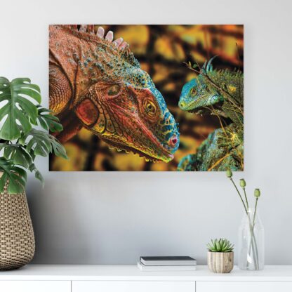 Animals and Living (10568CV) - Image 4