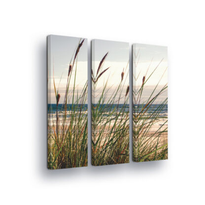 Beach and Coastal (10669CV)