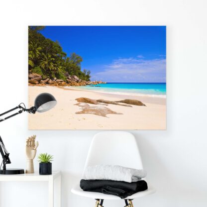 Tropical (10878CV) - Image 2