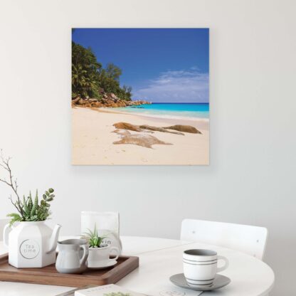 Tropical (10878CV) - Image 3