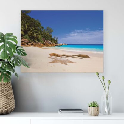 Tropical (10878CV) - Image 6