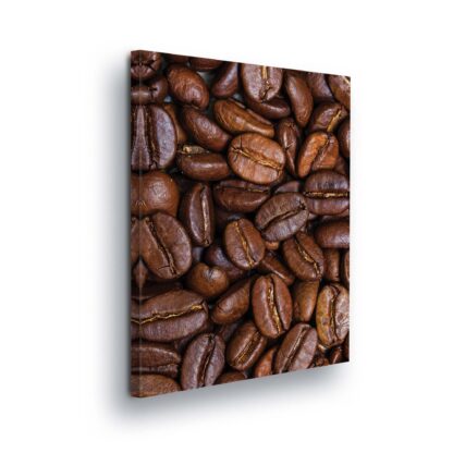 Food and Drink (10886CV)