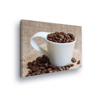 Food and Drink (10887CV)