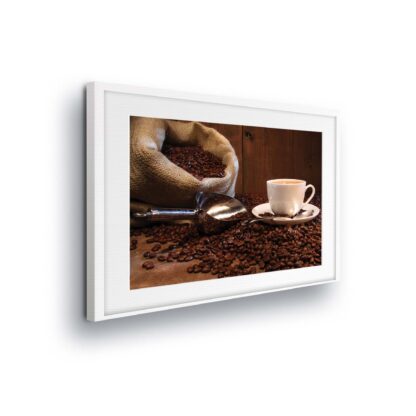Food and Drink (10916CV)