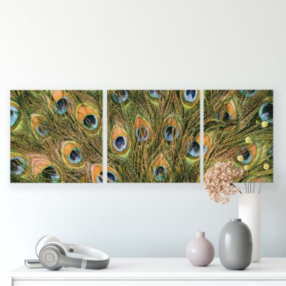 Animals and Living (11045CV) - Image 2