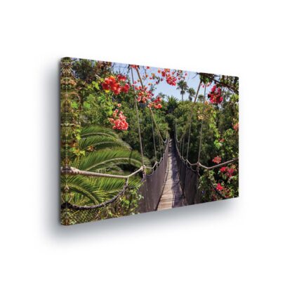 Tropical (1113CV)