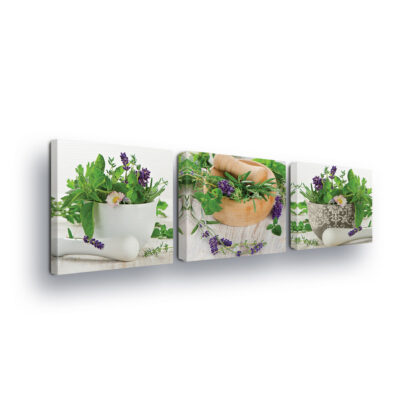 Plants (11242CV)