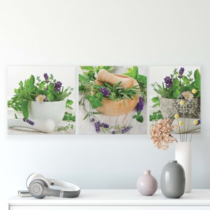 Plants (11242CV) - Image 2