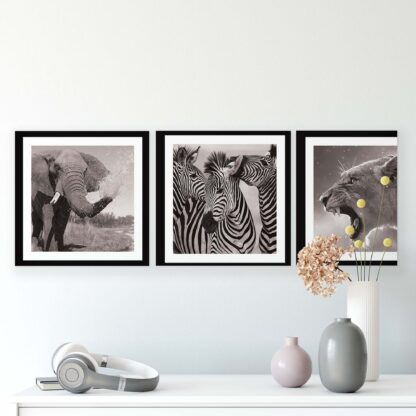 Animals and Living (11275CV) - Image 2