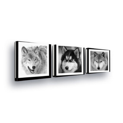 Animals and Living (11276CV)