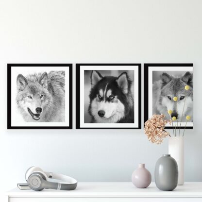 Animals and Living (11276CV) - Image 2