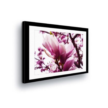 Flowers (11301CV)