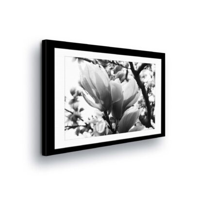 Flowers (11302CV)