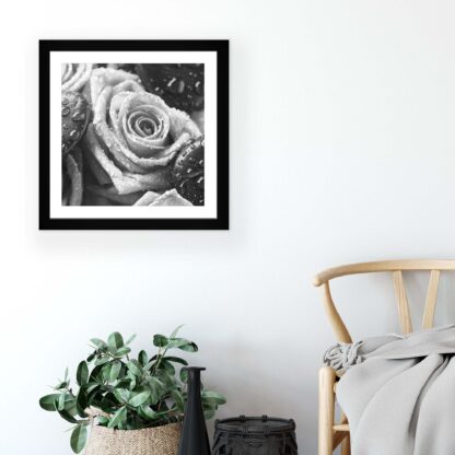 Flowers (11304CV) - Image 5
