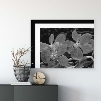 Flowers (11308CV) - Image 7