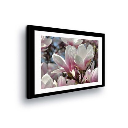 Flowers (11309CV)