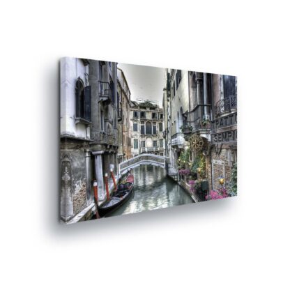 Travel and World (1130CV)
