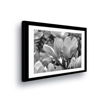 Flowers (11310CV)