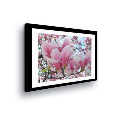 Flowers (11311CV)
