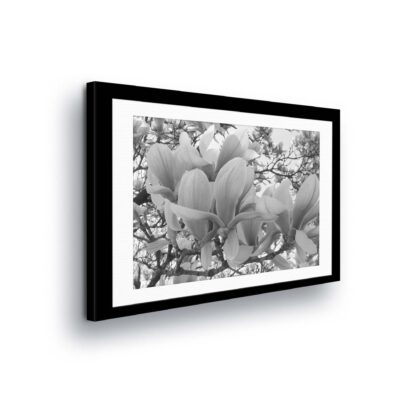 Flowers (11312CV)