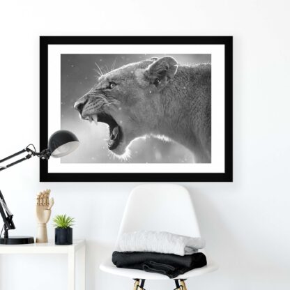 Animals and Living (11325CV) - Image 2