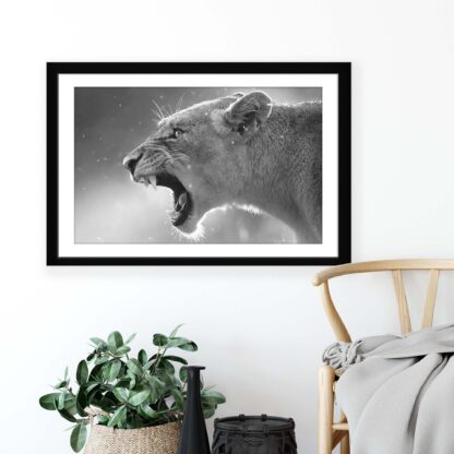 Animals and Living (11325CV) - Image 4