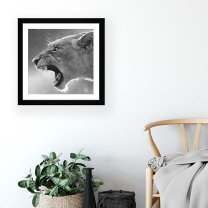 Animals and Living (11325CV) - Image 5