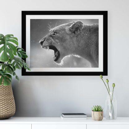 Animals and Living (11325CV) - Image 6