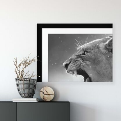 Animals and Living (11325CV) - Image 7
