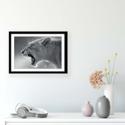 Animals and Living (11325CV) - Image 8