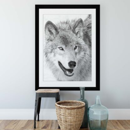 Animals and Living (11327CV) - Image 2