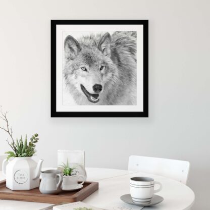 Animals and Living (11327CV) - Image 3
