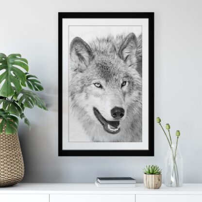 Animals and Living (11327CV) - Image 4