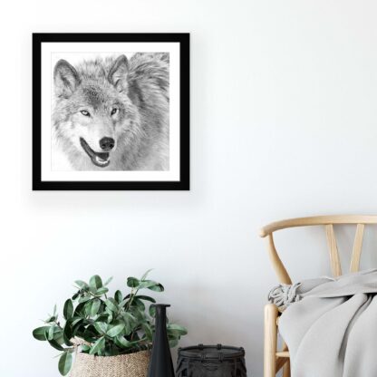 Animals and Living (11327CV) - Image 5