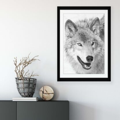 Animals and Living (11327CV) - Image 6