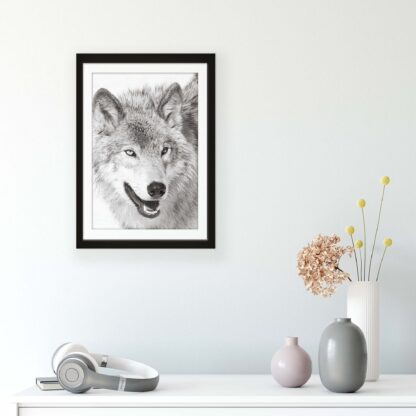 Animals and Living (11327CV) - Image 7