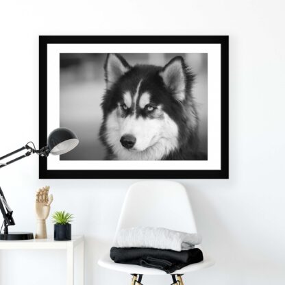 Animals and Living (11328CV) - Image 2