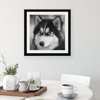 Animals and Living (11328CV) - Image 3