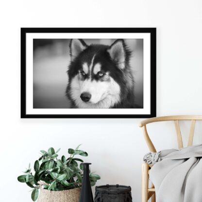 Animals and Living (11328CV) - Image 4