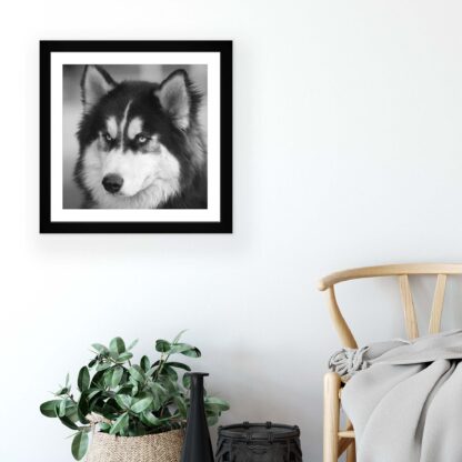 Animals and Living (11328CV) - Image 5