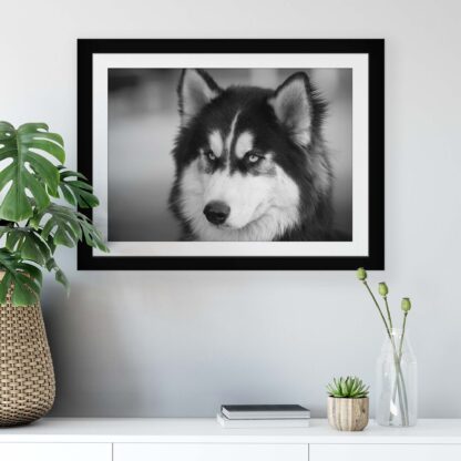 Animals and Living (11328CV) - Image 6