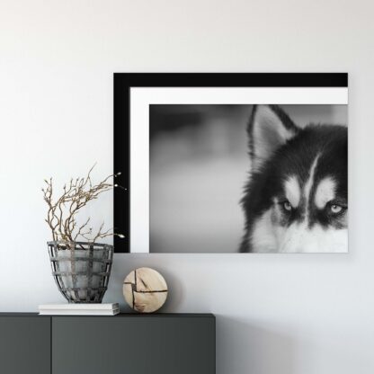 Animals and Living (11328CV) - Image 7