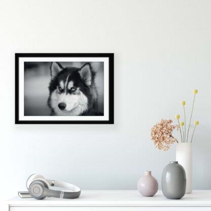 Animals and Living (11328CV) - Image 8