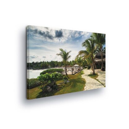 Tropical (11355CV)